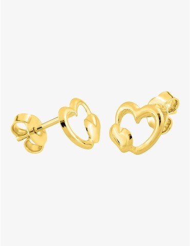 Boucles d'oreilles clous...