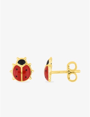 Boucles d'oreilles clous...