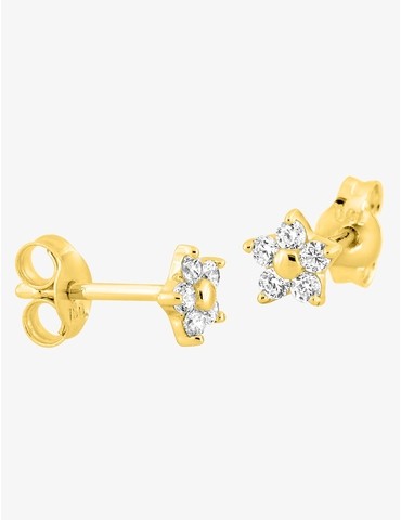 Boucles d'oreilles étoile...