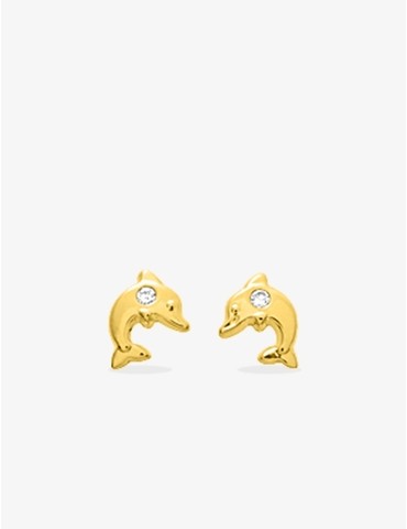 Boucles d'oreilles clou...