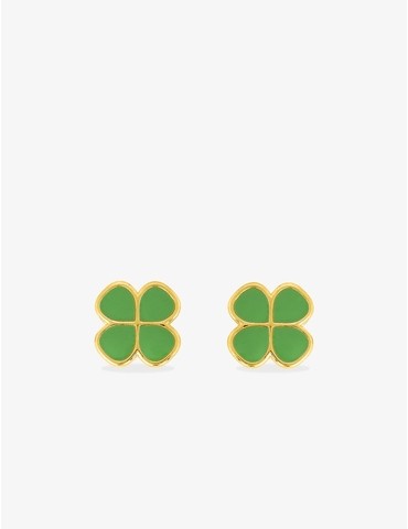Boucles d'oreilles clous...