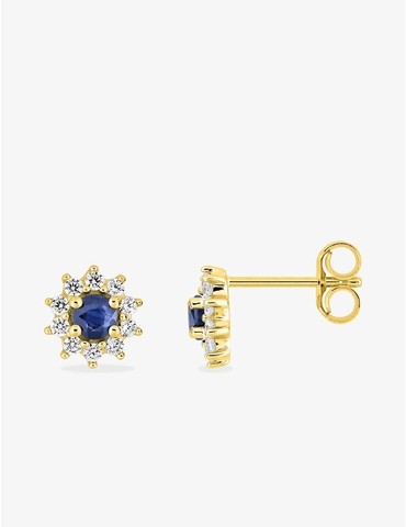 Boucles d'oreilles clou en...