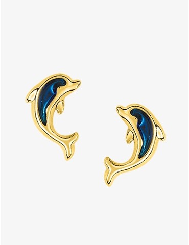Boucles d'oreilles clou en...