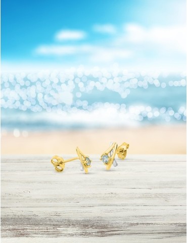 Boucles d'oreilles clous or...