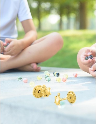 Boucles d'oreilles tortue...
