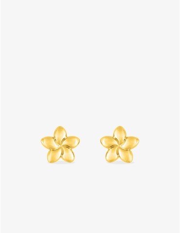 Boucles d'oreilles fleur or...