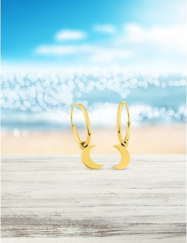 Boucles d'oreilles créoles...