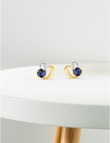 Boucles d'oreilles...