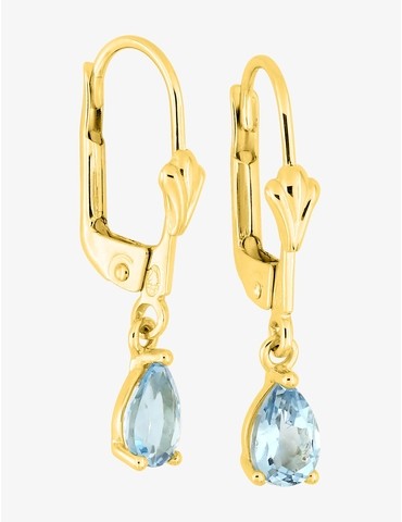 Boucles d'oreilles en or...