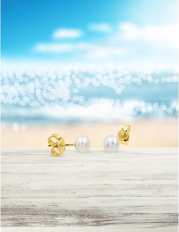 Boucles d'oreilles clou or...