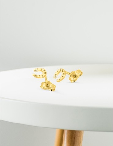 Boucles d'oreilles fer à...