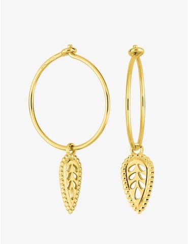 Boucles d'oreilles créoles...