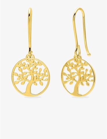 Boucles d'oreilles crochets...