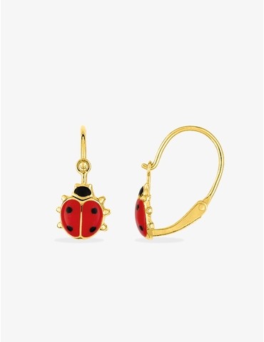 Boucles d'oreilles...