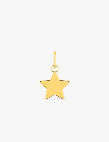 Pendentif étoile or jaune...
