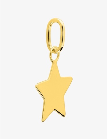 Pendentif étoile or jaune...