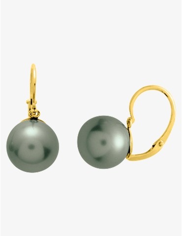 Boucles d'oreilles...