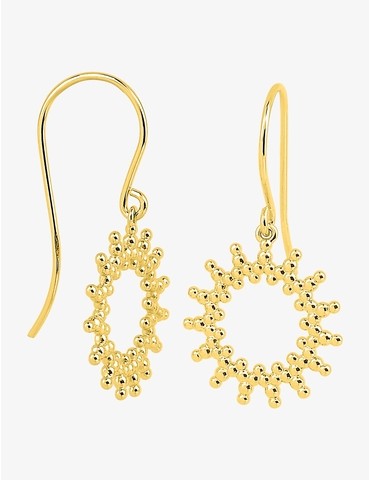 Boucles d'oreilles...