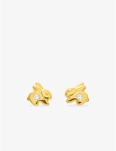 Boucles d'oreilles clous...