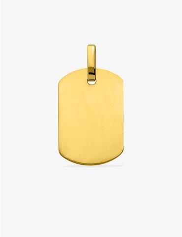 Plaque G.I 28 x 19 mm or...