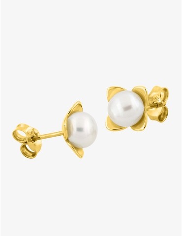 Boucles d'oreilles clous en...