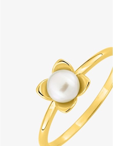 Bague en or jaune 750‰ et...