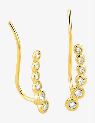 Boucles d'oreilles plaquées...