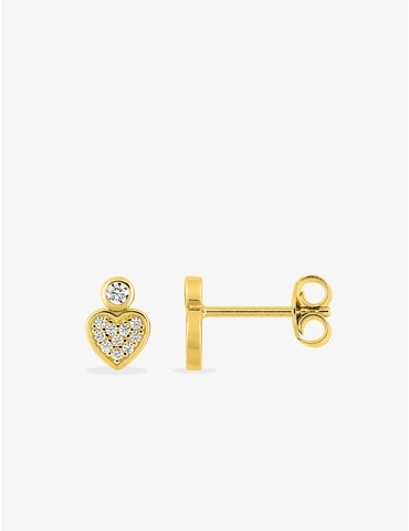 Boucles d'oreilles clous...