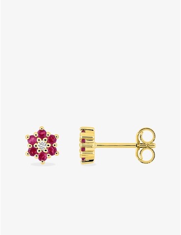 Boucles d'oreilles clou en...
