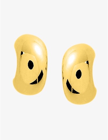 Boucles d'oreilles en...