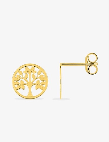 Boucles d'oreilles clous en...