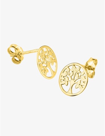 Boucles d'oreilles clous en...