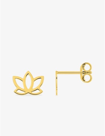 Boucles d'oreilles clou or...