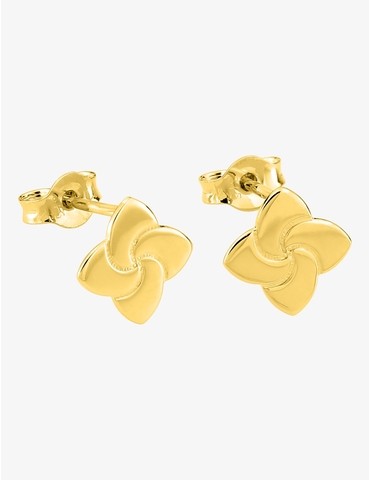 Boucles d'oreilles clous or...