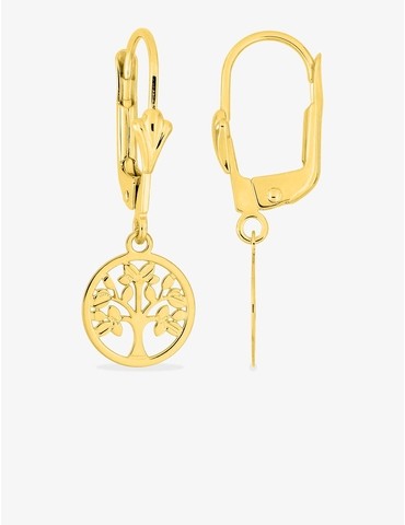 Boucles d'oreilles...