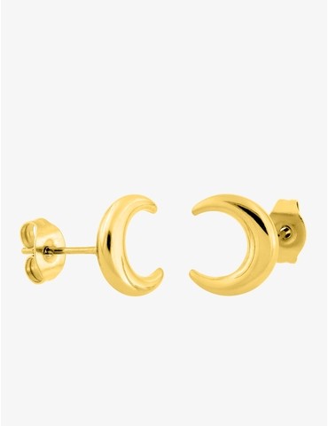 Boucles d'oreilles clous...