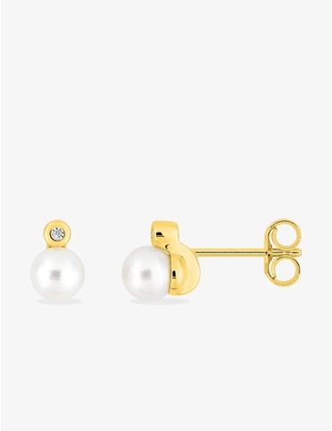 Boucles d'oreilles clou en...
