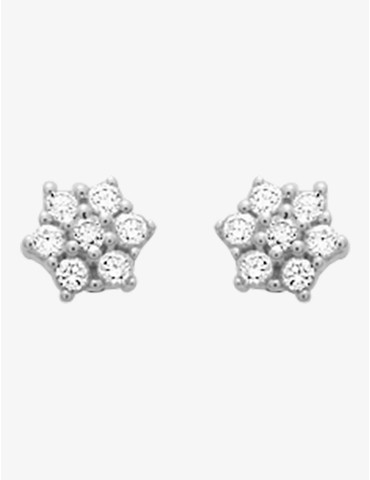 Boucles d'oreilles fleurs...