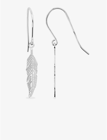 Boucles d'oreilles...