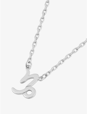 Collier zodiaque capricorne...