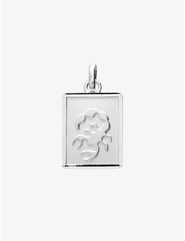 Pendentif Zodiaque Scorpion...