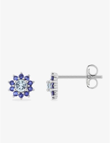 Boucles d'oreilles clous...