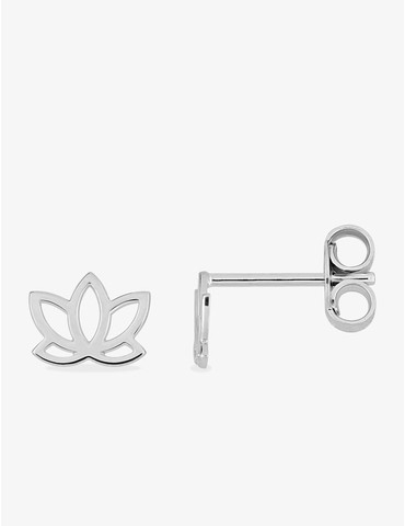 Boucles d'oreilles clous...