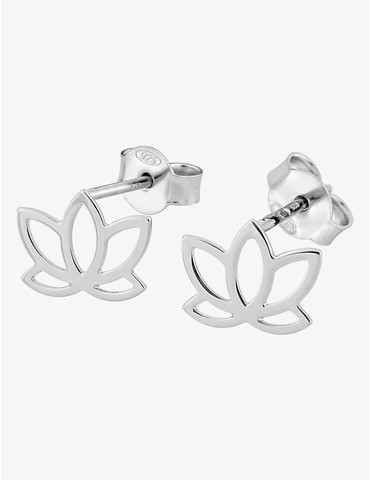 Boucles d'oreilles clous...