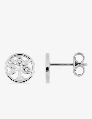 Boucles d'oreilles clous...