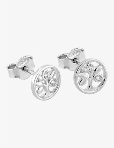 Boucles d'oreilles clous...