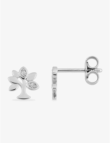 Boucles d'oreilles clous...