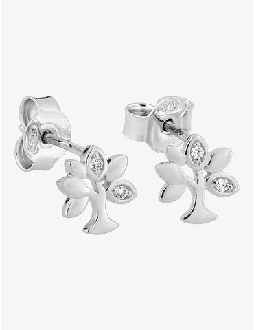 Boucles d'oreilles clous...