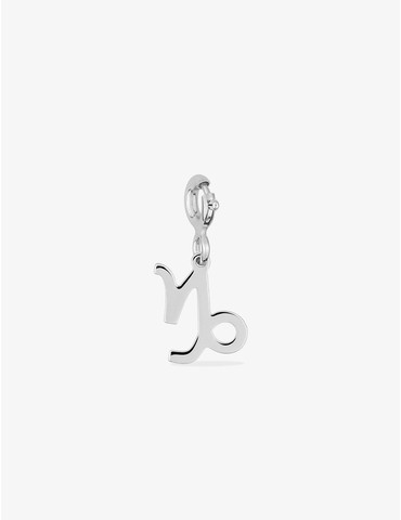 Charms zodiaque Capricorne...