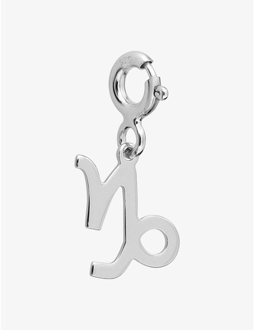 Charms zodiaque Capricorne...